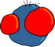DENN80
